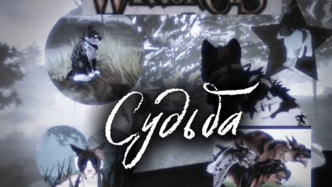 Ловите 1 серию! сериал 