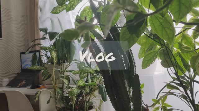 F62bbcb3adf27ffa757cf1cbd1d923e2