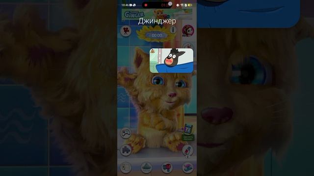 мне позвонил Джинджер в 3:00ночи