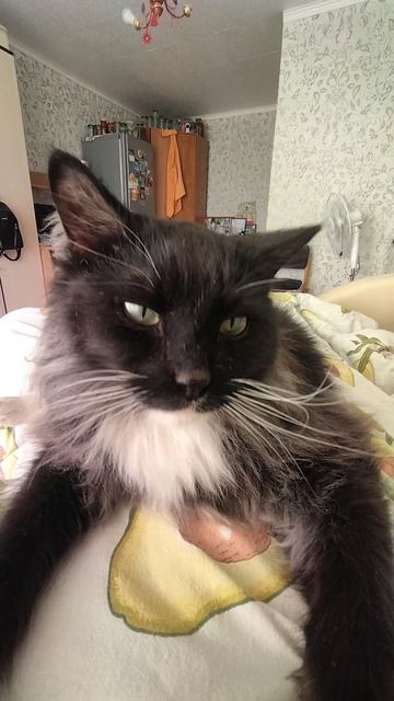 Доброе утро ☀ 🌝⏰ от Мишки😻😻😻