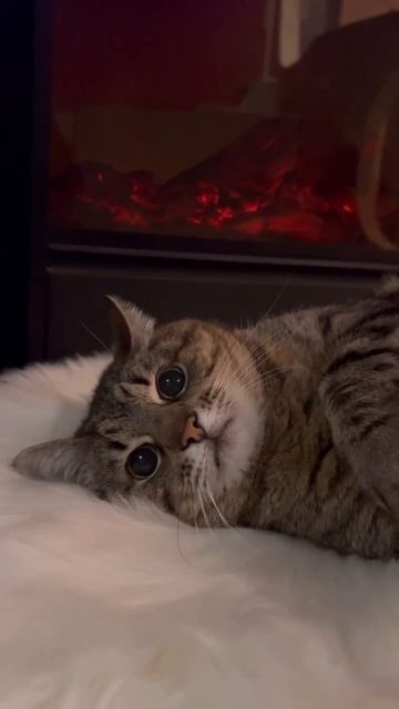 Понедельник