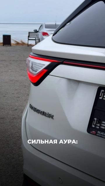 Если не сейчас, то когда💪