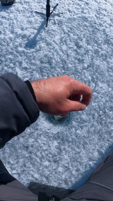 Весенний подлец