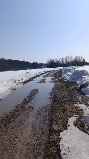 Земля От Государства_Локация №9