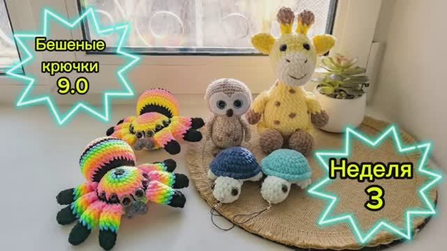 Бешеные крючки 9.0. Неделя 3