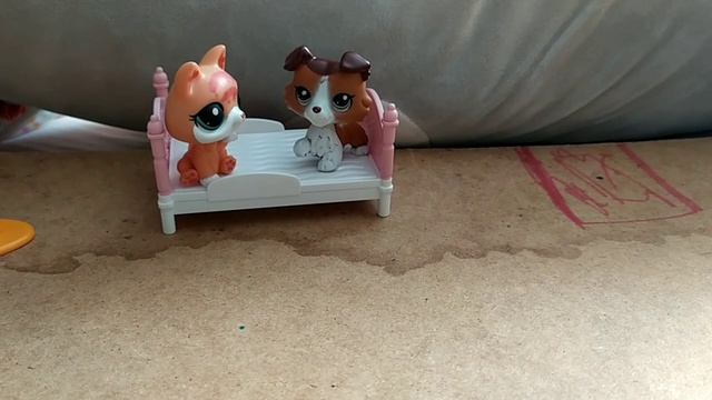 жизнь Насти как вы думаете что будет дальше