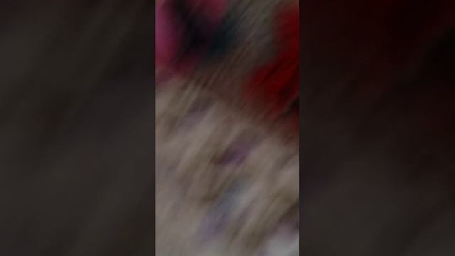 Наша улица.