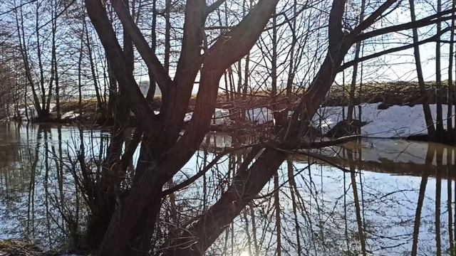 Родник затопило рекой .