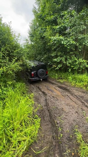 TANK 300 закидывает грязью на бездорожье