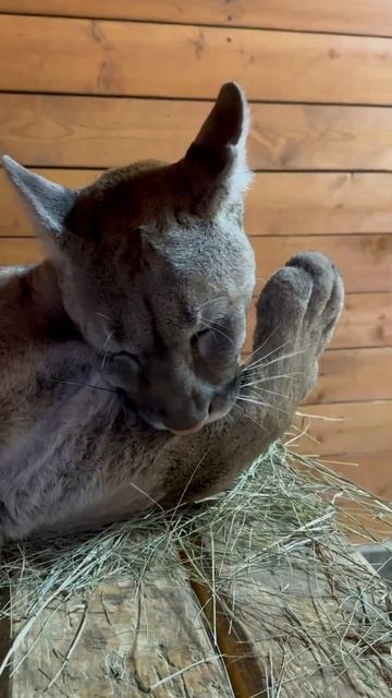 Ответ на воскресную викторину!😁