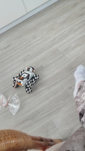 Живая игрушка!