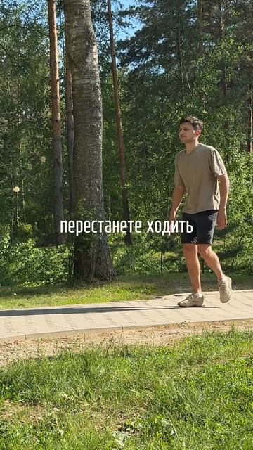 Все комплексы в разделе видео