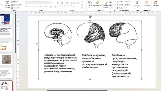 Чернова 23.03 1
