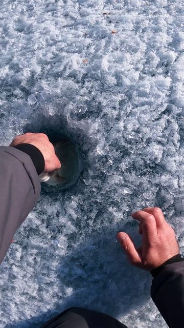 Этот кабан в лунку не лезет