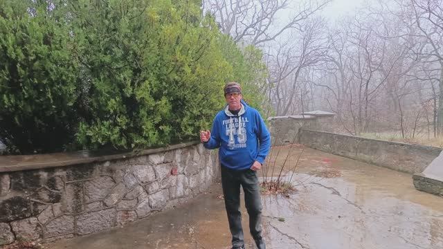 Крымский можжевельник и погода