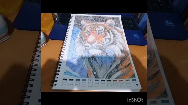 Итоги раскрашивание за Март