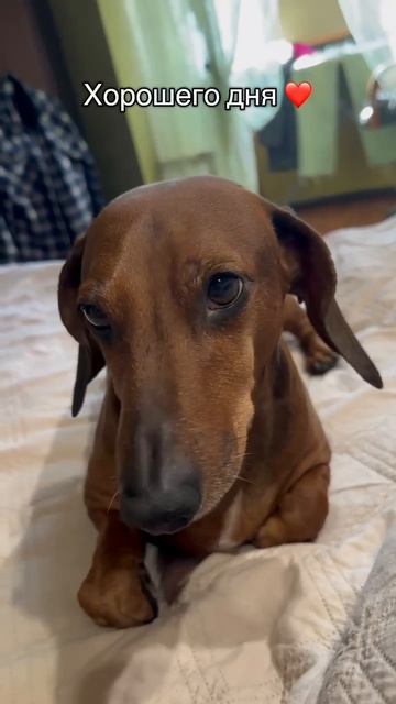 Хорошего дня!