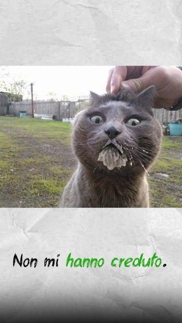 Примеры Passato Prossimo. Часть 2