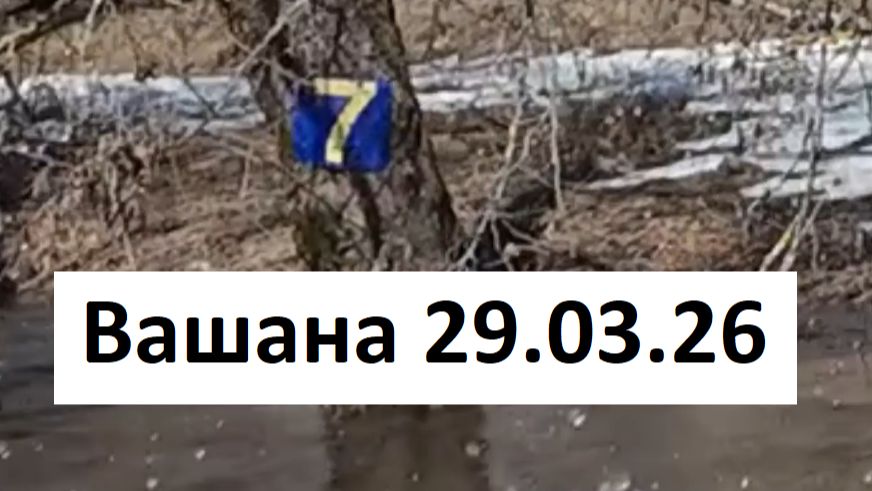 Вашана 28 марта 2026, цифра 7