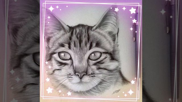 6dfe3068f318bf69982d3340619c451c