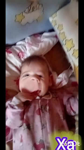 приключения мишуты