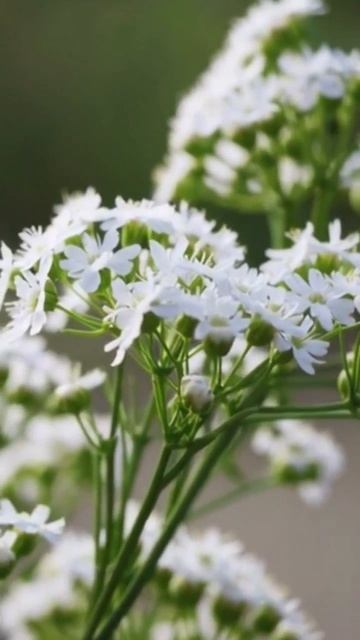 #contentcreator #digital #media