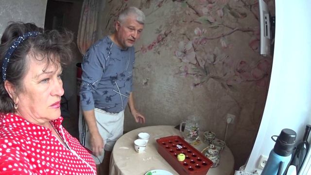 ПОСАДКА ЛУКА БЕЗ ЗЕМЛИ