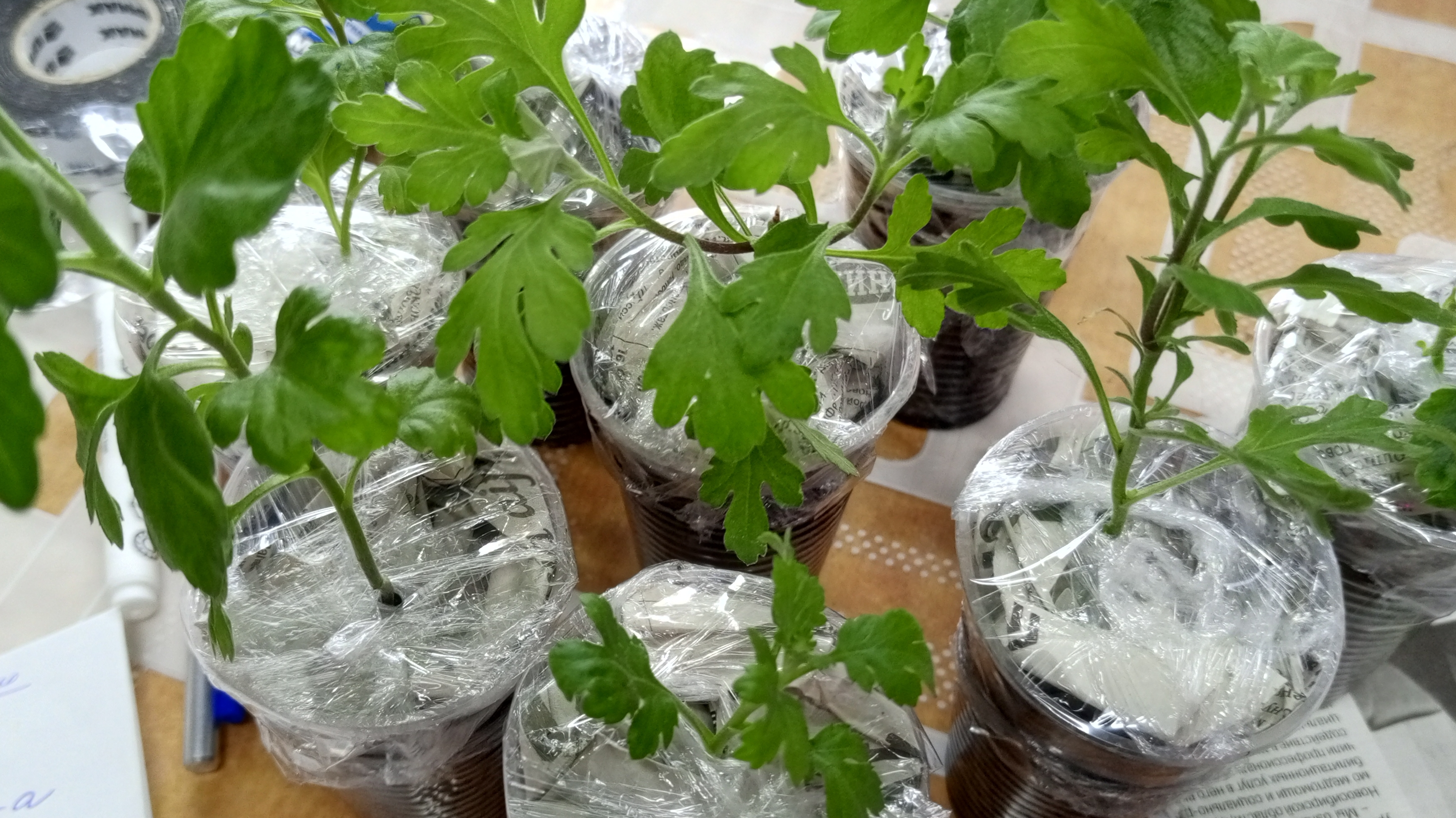 3424c4c3f778585e21c5ce0a16e3da92