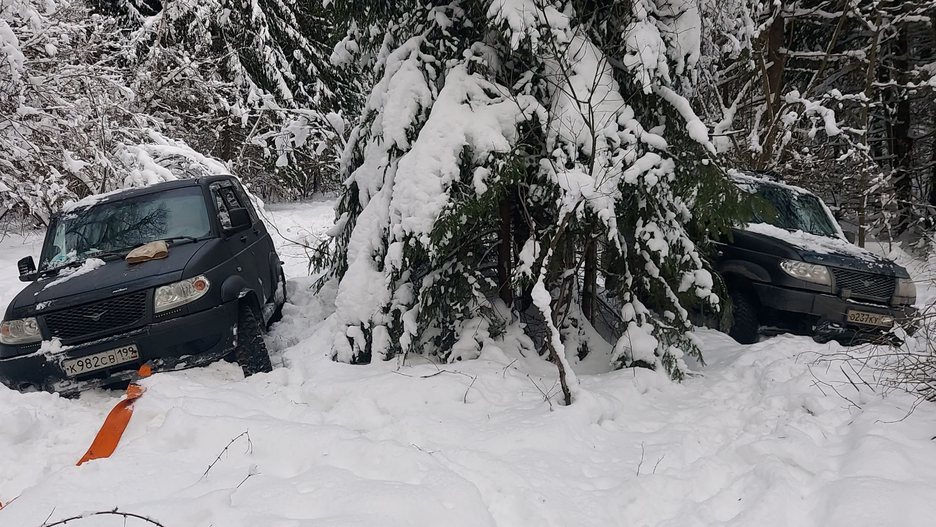 РАЗВОД в сервисе на ТО-2