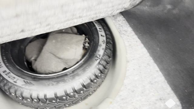 E03e81c7b7b7f1a449cf4211c0d30381