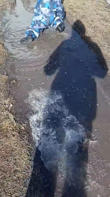 5048882704e496bfcda4e9d3a75ab1f1