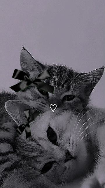 ФОООНКККК 🤘🏼🤘🏼🤘🏼🤘🏼🤘🏼😈