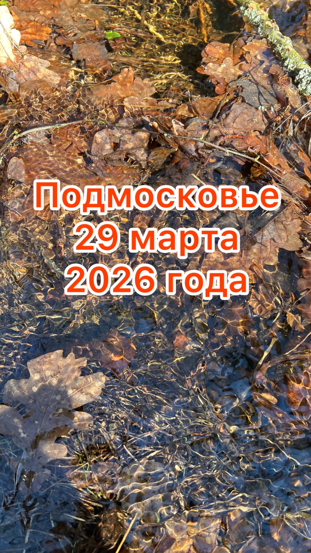 Конец марта,природа.