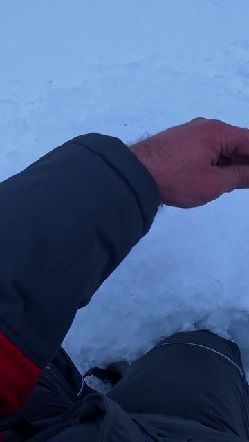 ЩУКА НА МОЙВУ