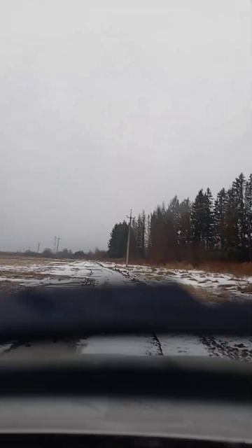 28 апреля 2025 г.