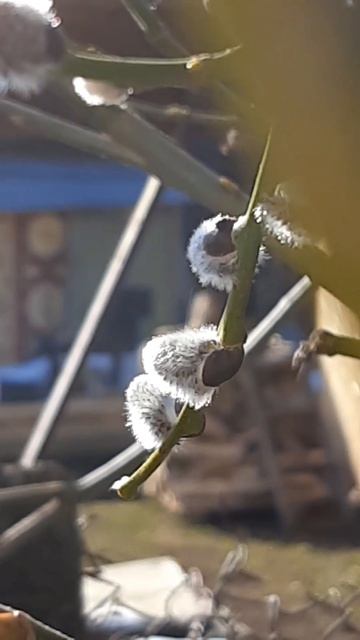 ура! весна то идет