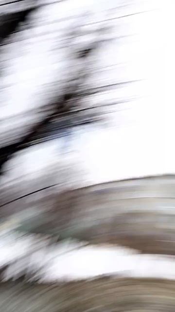 школьный лагерь