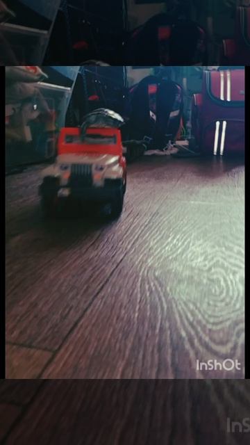 Crazy Turtle!!!!!!! 🐢🐢🐢🐢🐢