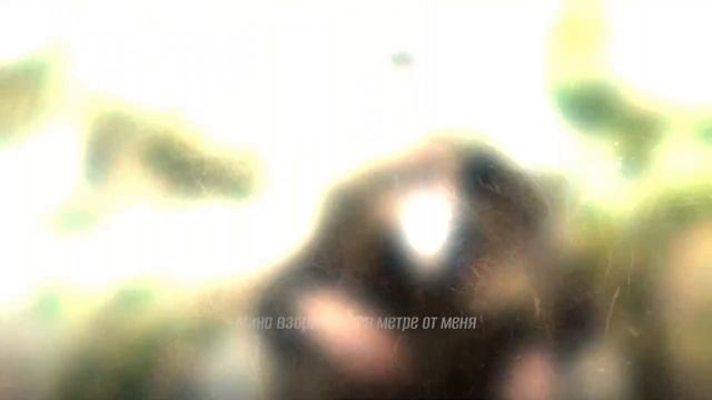 Новый выпуск «Элита, рожденная в бою»