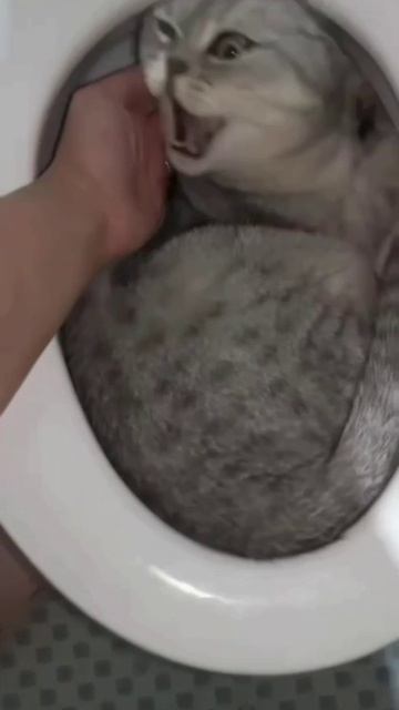 Утро начинается не с кофе)))