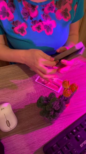 Тарогороскоп 1.04.2026