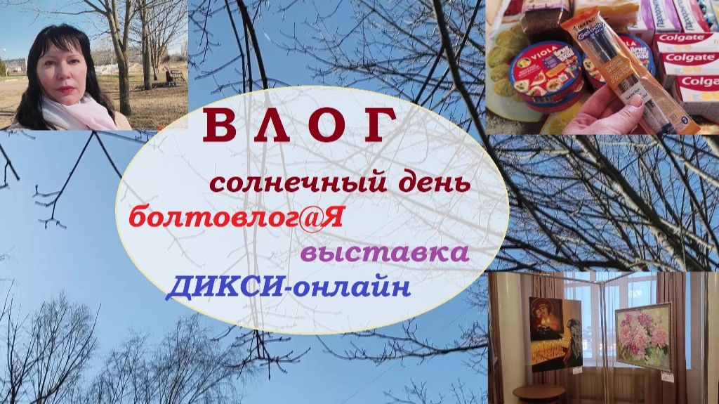 ВЛОГ.Солнечный день.БолтовлогИя.Выставка.ДИКСИ покупки