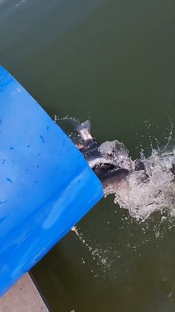 запуск 31.03.mp4