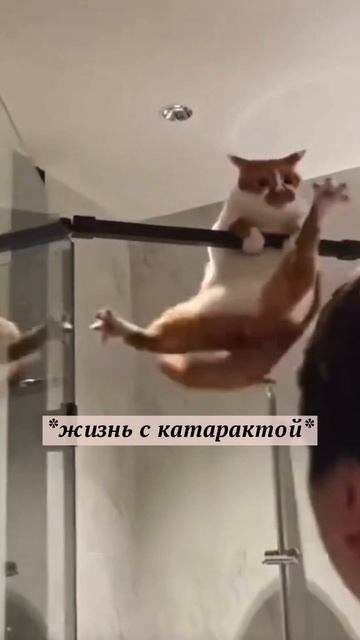 Ощущение, что все вокруг 