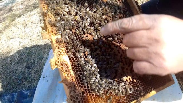 225825ec5bb2519e5201e1a0efba0a34