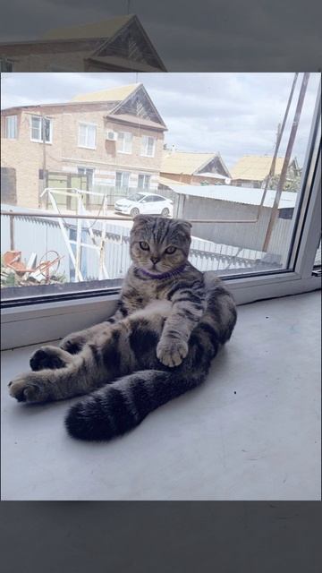 46f84ee92281865a44ed1b1db2c85baa