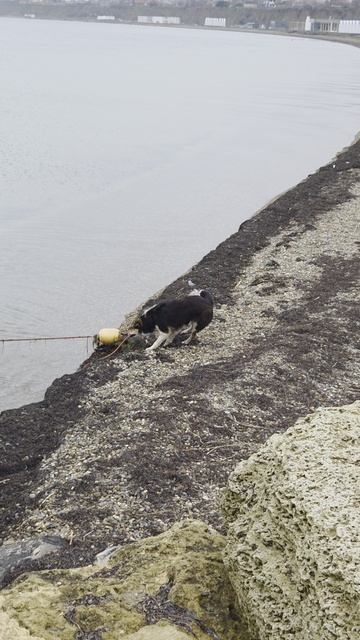 42b20b9fdf3ce469ef28a6501b8fa16a