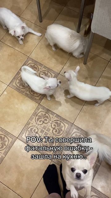 Личное пространство? Нет, не слышали 🤡