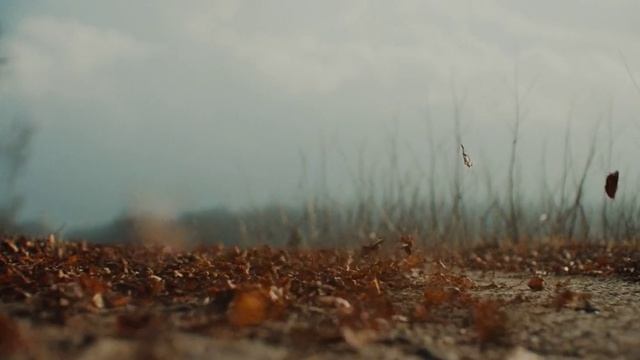 Сколько бы ни было...mp4