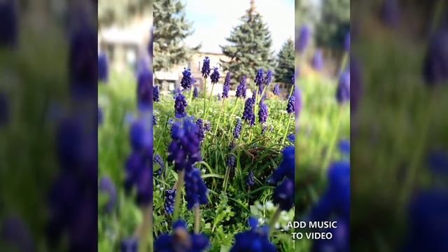 Красота☺️